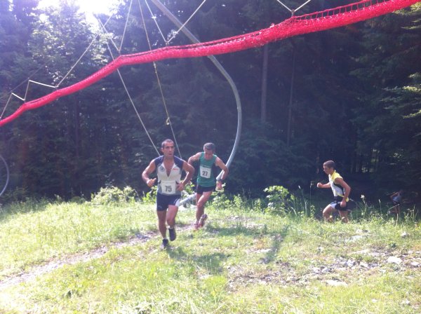 Colore 2012